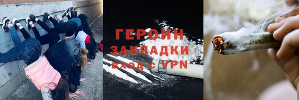 гидра Заводоуковск
