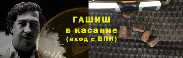 гидра Заводоуковск