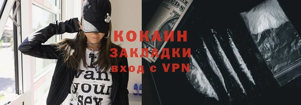 гидра Заводоуковск