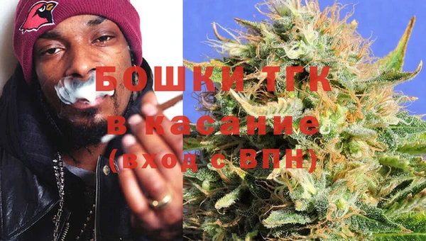 гидра Заводоуковск