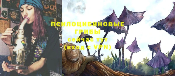 гидра Заволжск