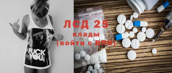 гидра Заводоуковск