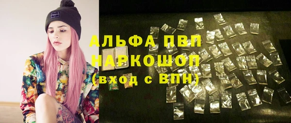 гидра Заводоуковск