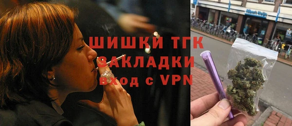 гидра Заводоуковск