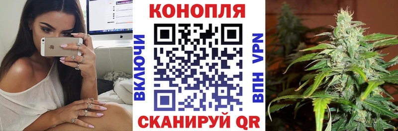 Шишки марихуана марихуана  Купить  Починок 